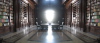 13library.psd